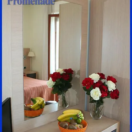 Promenade מלון 3*